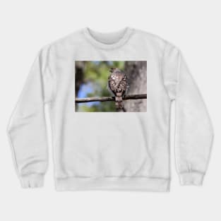 Coopers Hawk Crewneck Sweatshirt